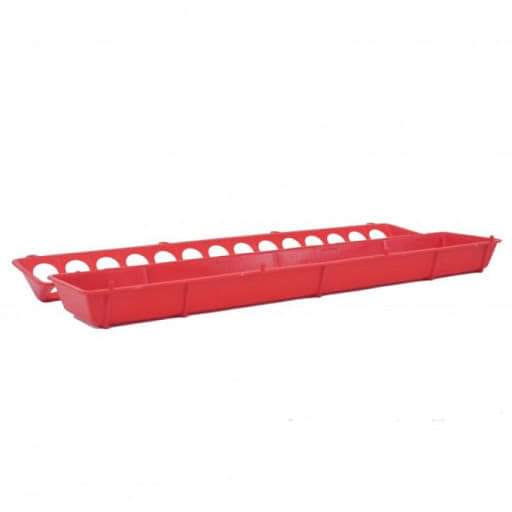 علافة طولية حمراء