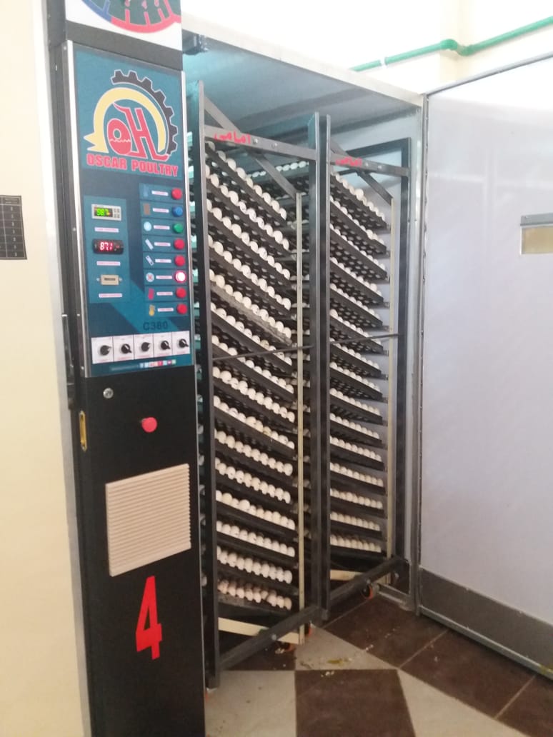 An open hatching machine with egg trays inside